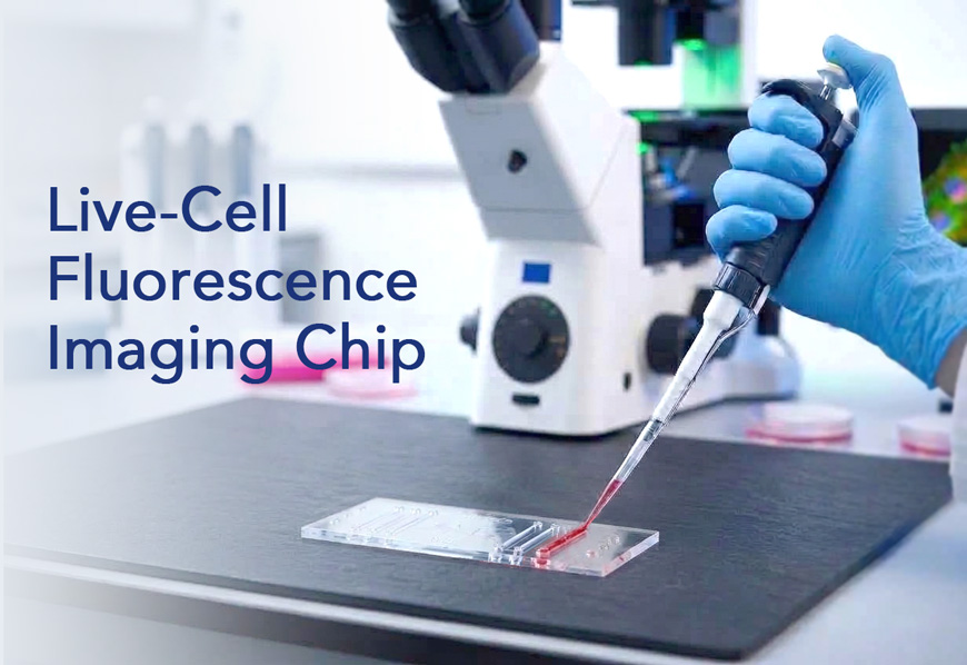 Live-Cell-Fluoreszenz-Imaging-Chip