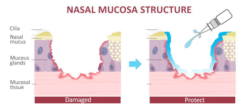 spray nasal hannox