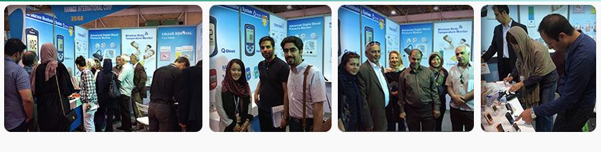 2015 International Exhibition, Iran