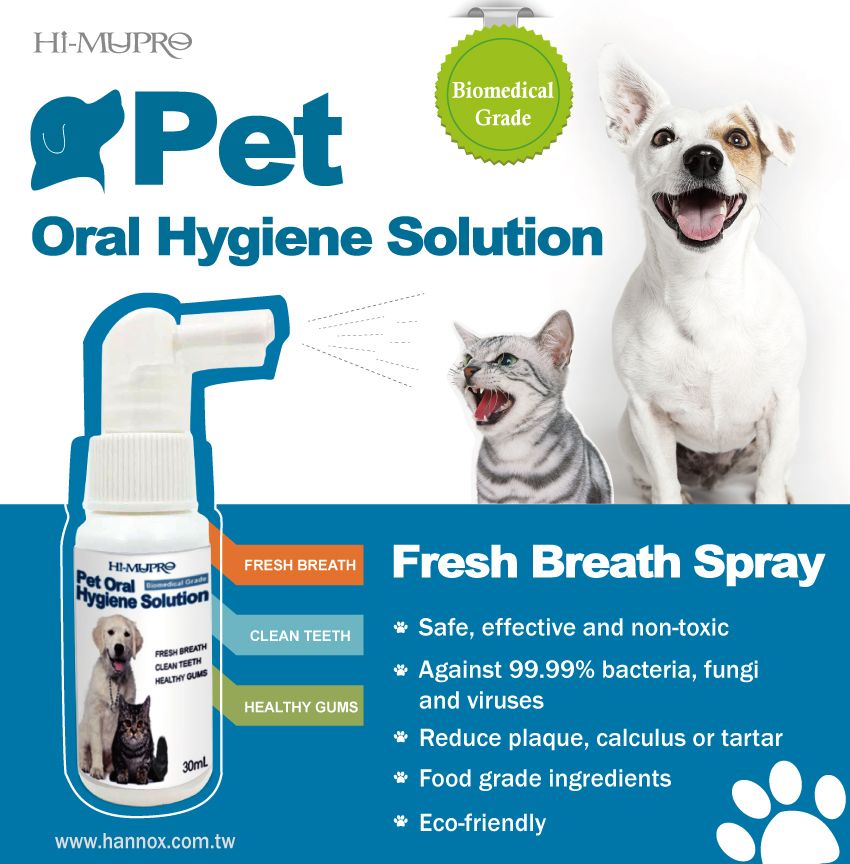 Pet Oral Hygiene Solution Medical Baby Health Care Product