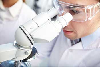 cell reasearch