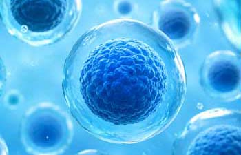 cell reasearch