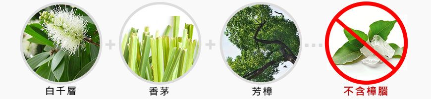 朵拉絲天然精油成份